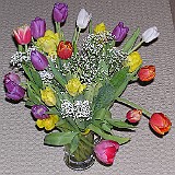 2004-04-02 17.34.57_crop
