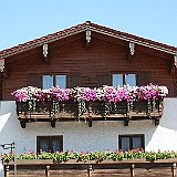 IMG_2385