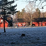2009-01-05_01