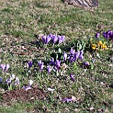 2009-04-06_02