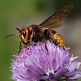 2010-06-20_15
