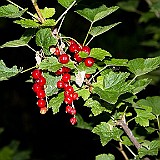 2010-07-12_23