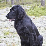 2011-08-08_26