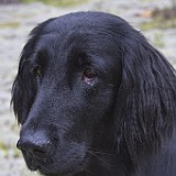 2011-08-08_28