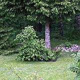 2012-06-09_01