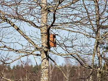 Djur och natur